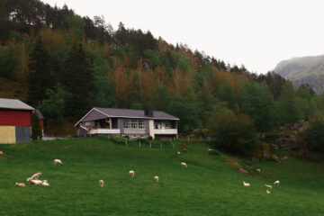 Choosing the Right Floor Plan for Your Farmhouse Modular Home Arkansas